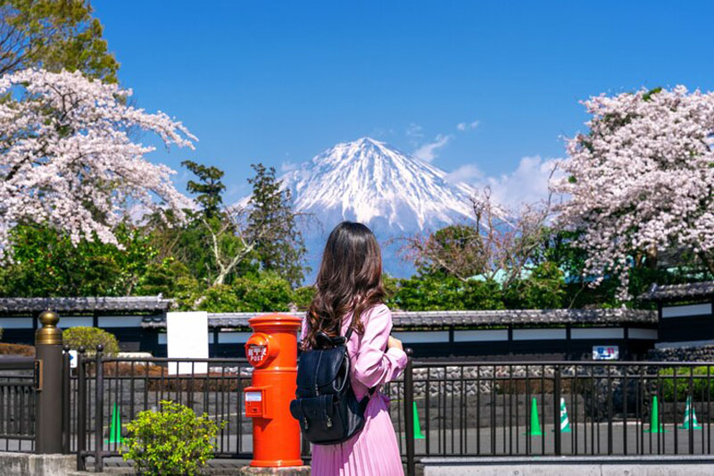 Tokyo Best Time To Travel