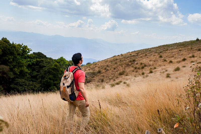 A Short Hike