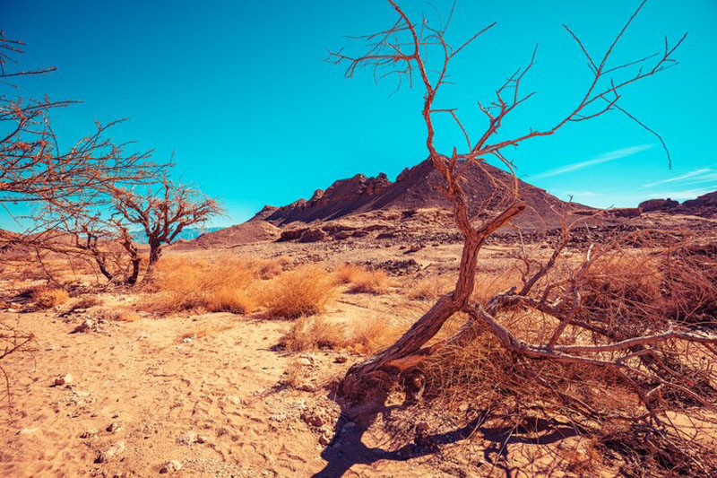 Death Valley