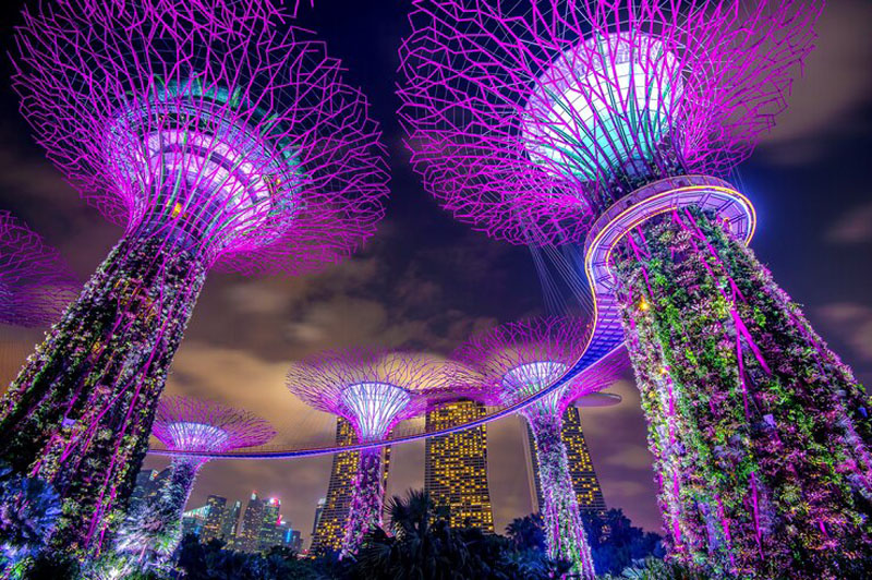 Amazing Places To Go In Singapore