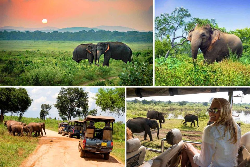 What Are the Best Tourist Places in Sri Lanka for First-Time Visitors?