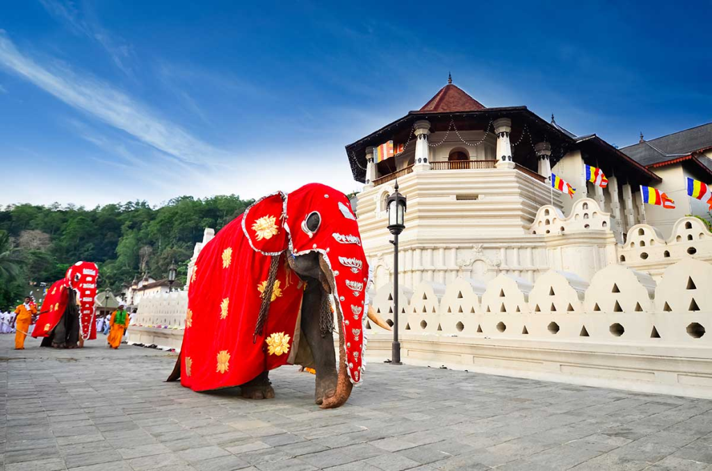 What is the Climate Like in Sri Lanka in January?