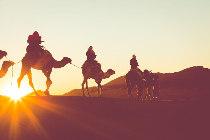 What Can You Expect on an Egypt Desert Safari?