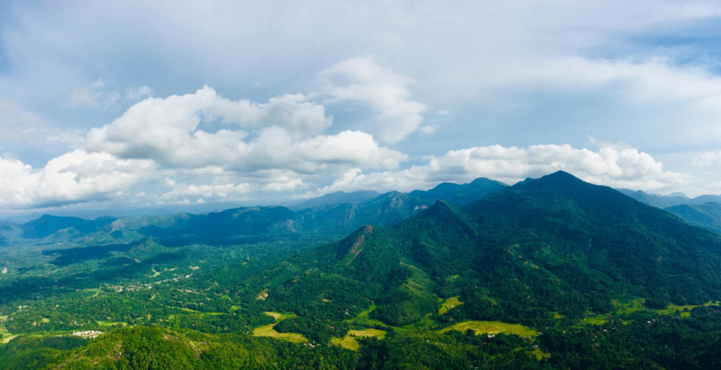 What Makes Sri Lanka's Nature So Unique and Diverse?