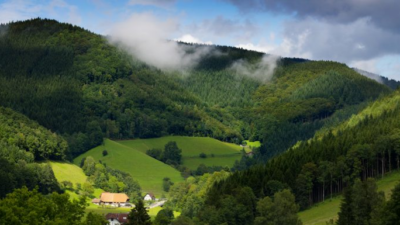 What Are the Must-See Destinations on a Germany Road Trip?