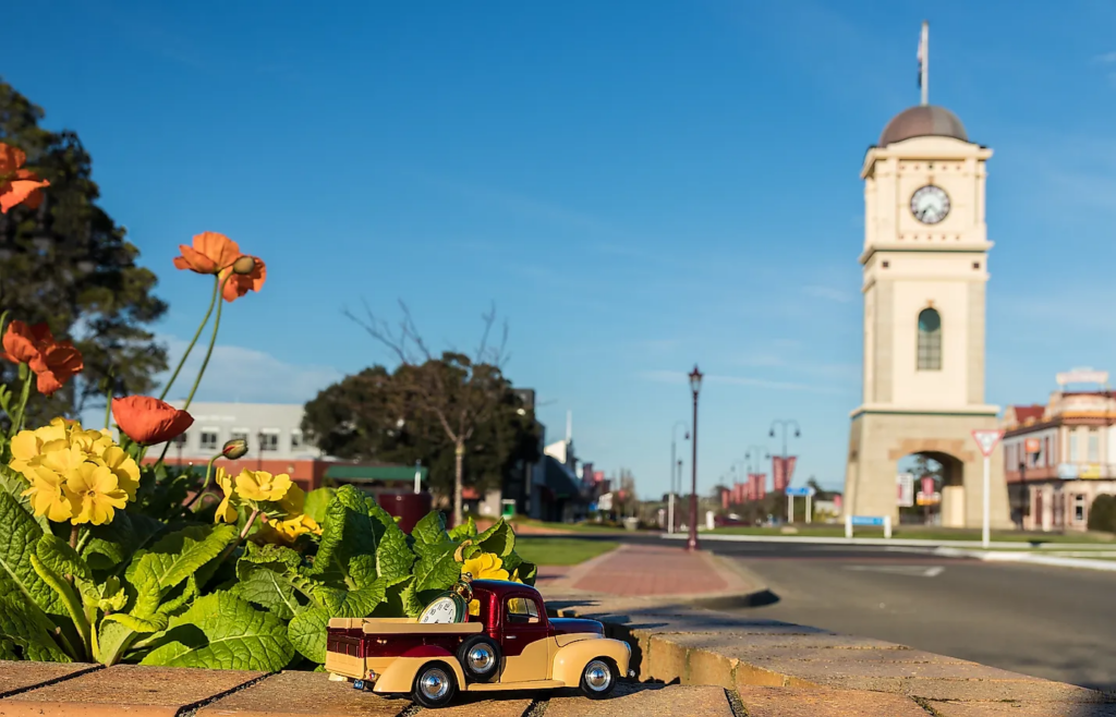 What Are the Must-See Attractions in Feilding, New Zealand?