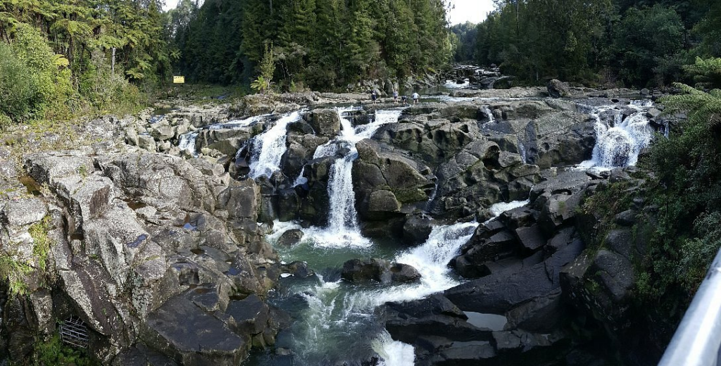 What Are the Must-See Attractions in Tauranga New Zealand?