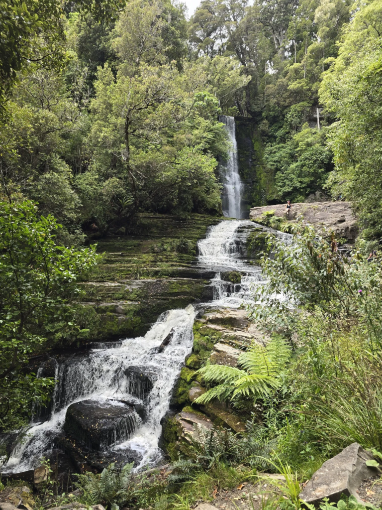 What Are the Must-See Attractions in Tokanui, New Zealand?How do I get to Tokanui?What Are the Must-See Attractions in Tokanui, New Zealand?