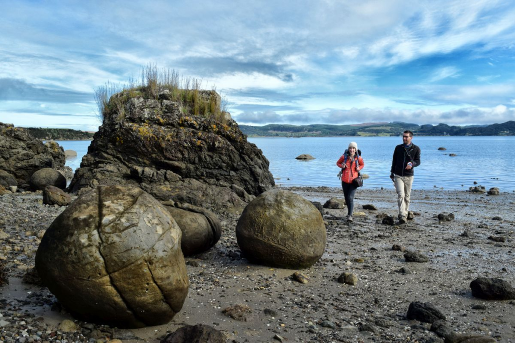 What Makes Fortrose New Zealand a Hidden Gem for Travelers?