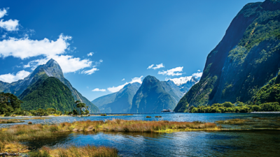 What Makes Tuatapere New Zealand a Hidden Gem Worth Visiting?
